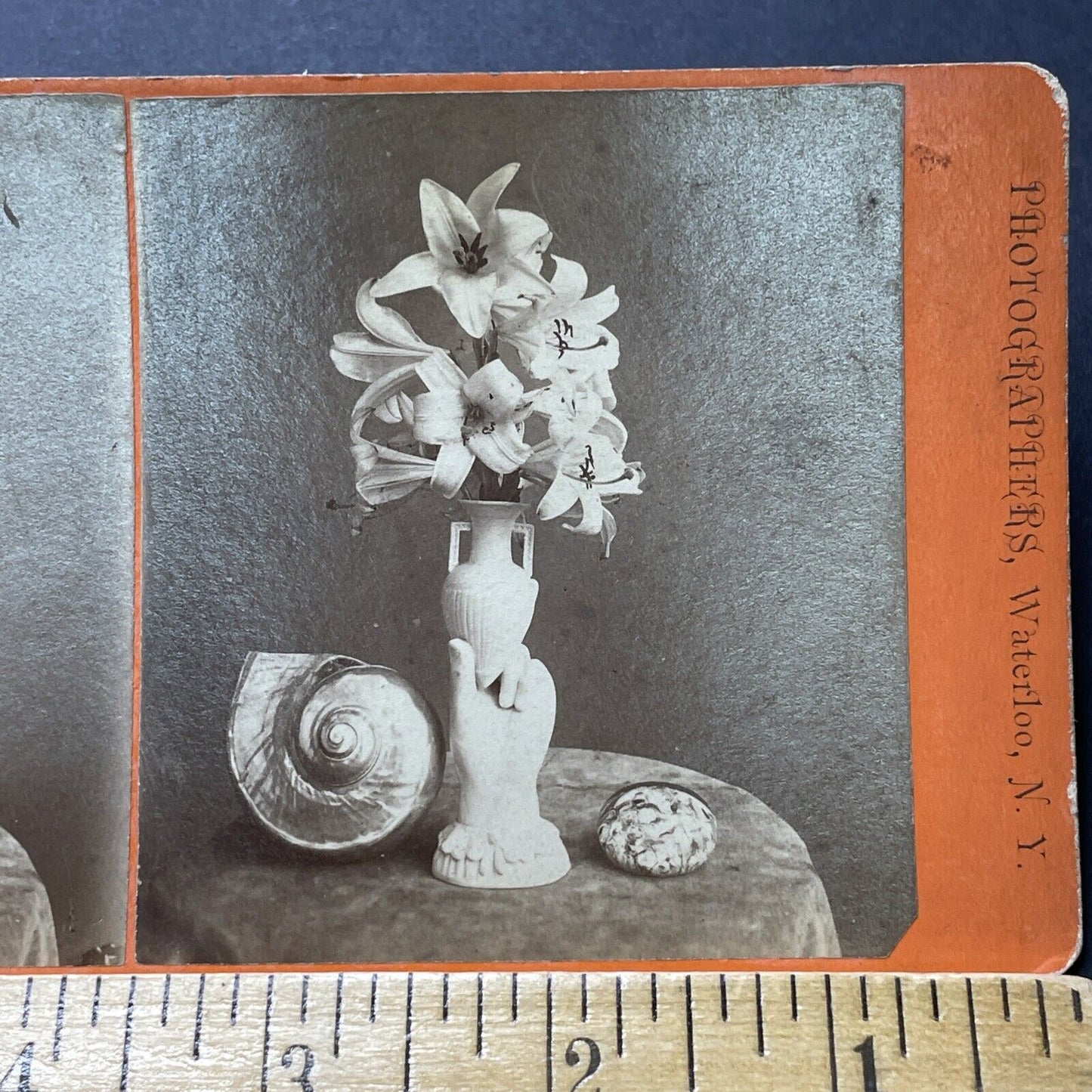 Antique 1870s Funeral Flowers Waterloo New York Stereoview Photo Card P2273