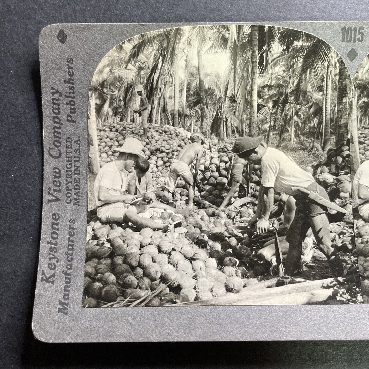 Antique 1906 Coconut Farming Pagsanjan Philippines Stereoview Photo Card P1468