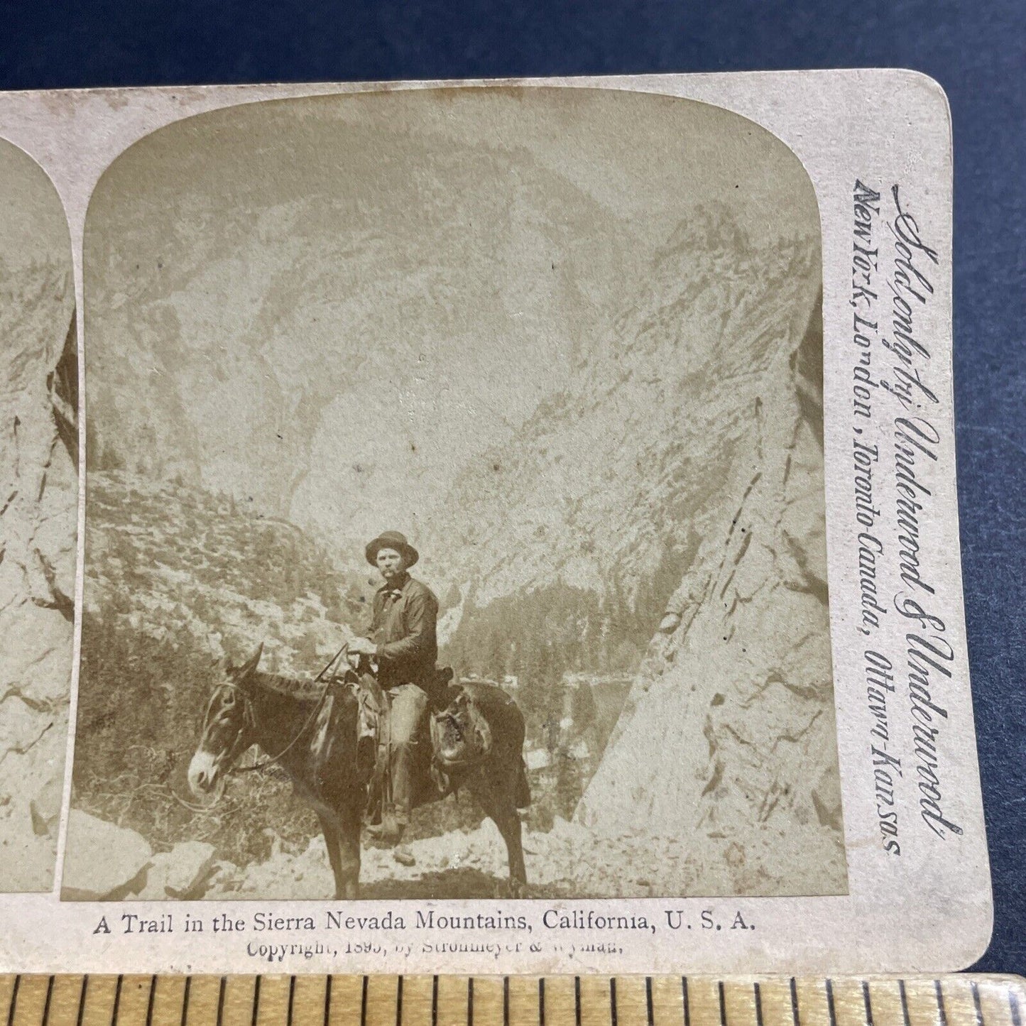 Antique 1895 Sierra Nevada Mountains California Stereoview Photo Card P4952