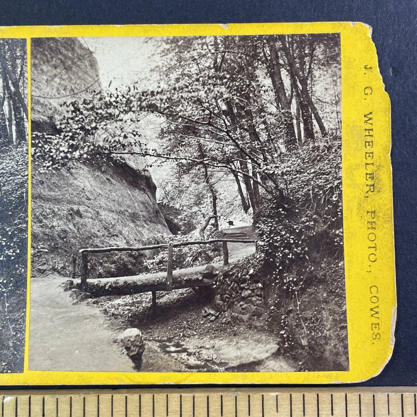 Shanklin Chine Isle Of Wight England Stereoview UK Antique c1870 X3673