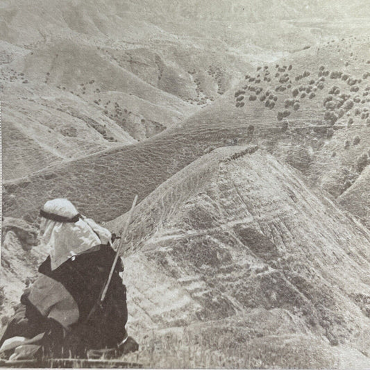 Antique 1900 Shepherd In Hills Of Israel Palestine Stereoview Photo Card P1336