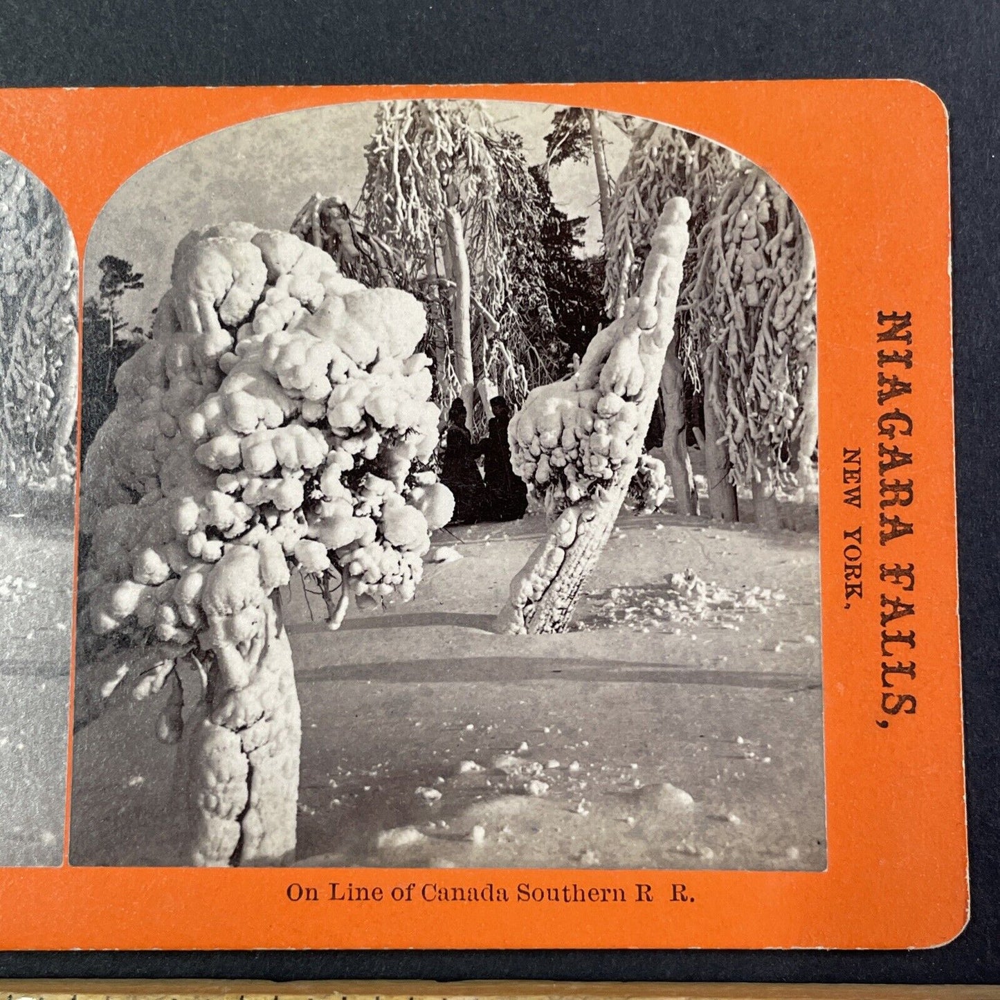 Canada Southern Railroad Luna Island Frozen Stereoview Antique c1870s Y1775