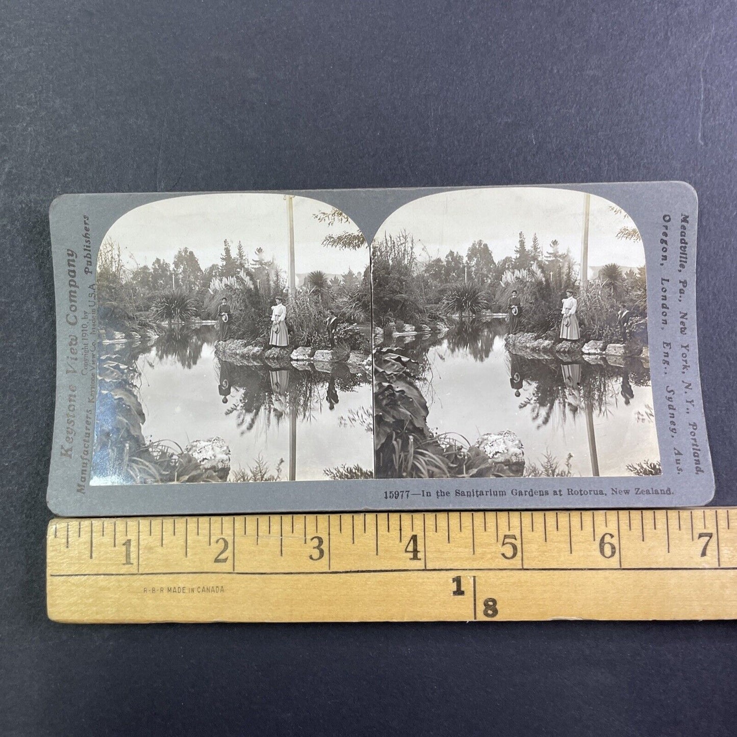 Rotorua North Island New Zealand Stereoview Public Gardens Antique c1911 X3538