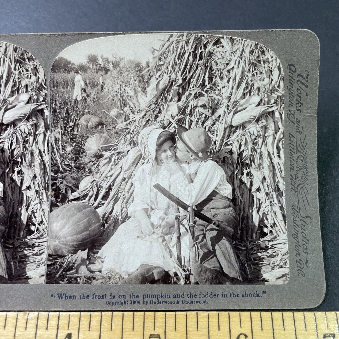 Antique 1904 Lovers Kiss In Pumpkin Patch Stereoview Photo Card P2840