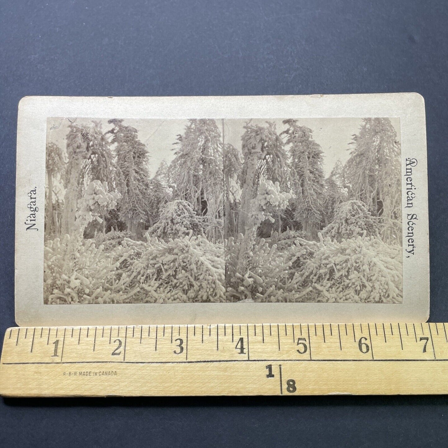 Antique 1860s Niagara Falls Luna Island First Photos Stereoview Photo Card P2534