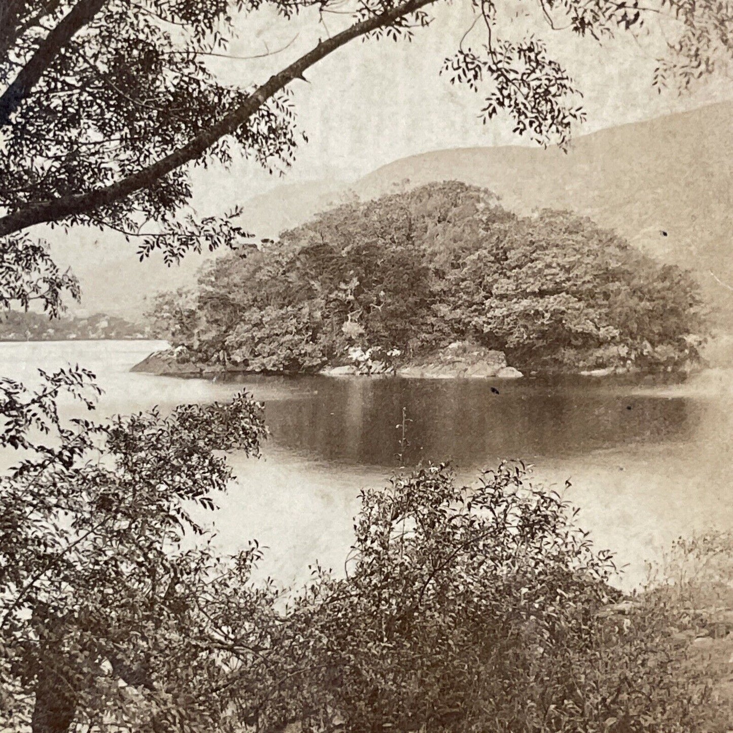 MacCarthy’s Island Ireland Stereoview Upper Lake of Killarney Antique 1870 X3706