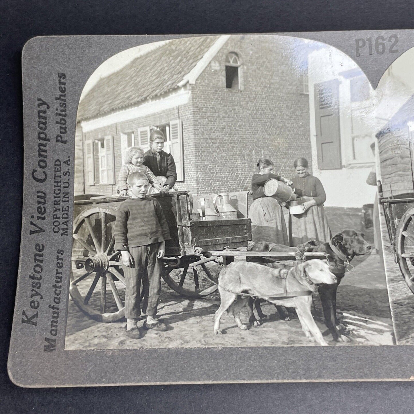 Antique 1918 Dog Sled Delivering Milk Antwerp Belgie Stereoview Photo Card PC769