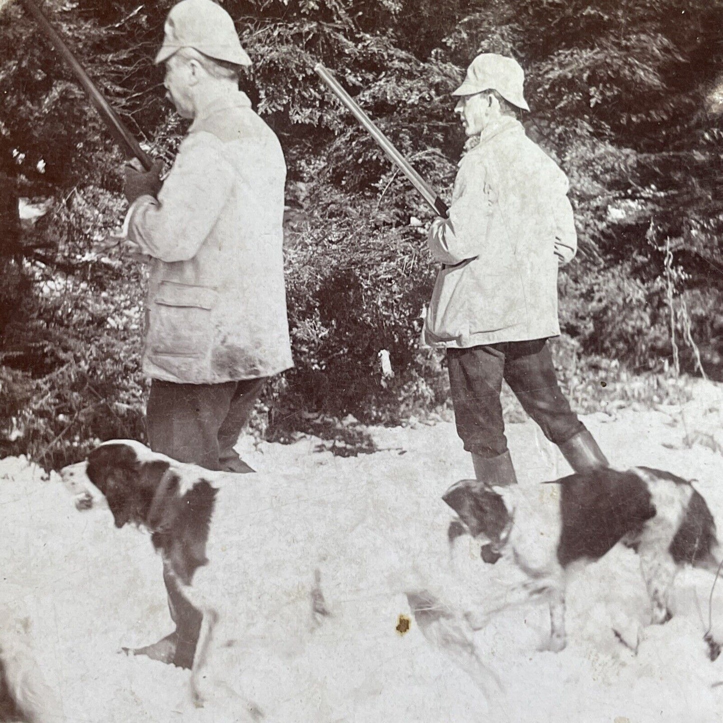 Antique 1898 English Fox Hunting With Dogs Stereoview Photo Card P1660