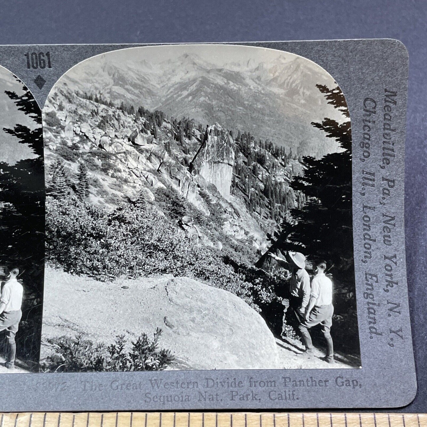 Antique 1910s Panther Gap Sequoia National Park CA Stereoview Photo Card V2047