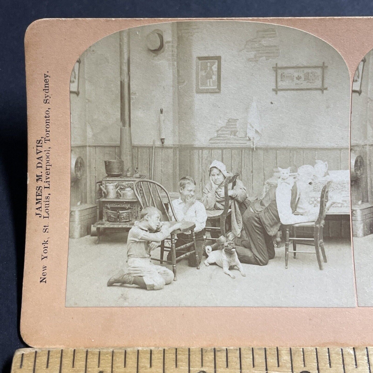 Antique 1897 Cat Attacks Praying Man In Kitchen Stereoview Photo Card P5532