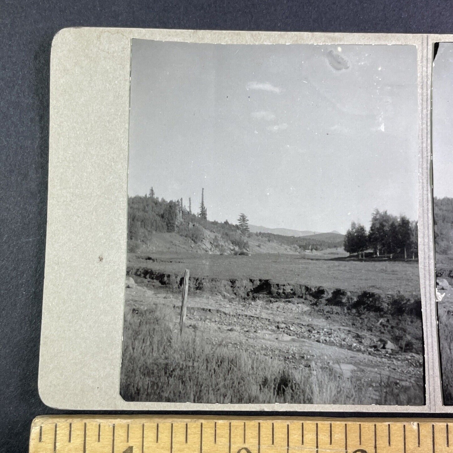 Eleven Mile Canyon Lake George Colorado Stereoview Antique c1933 Y2417