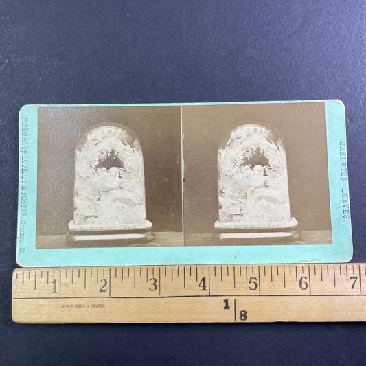 Funeral Arrangement Casket Flowers For A Girl Stereoview Antique c1870 X3702
