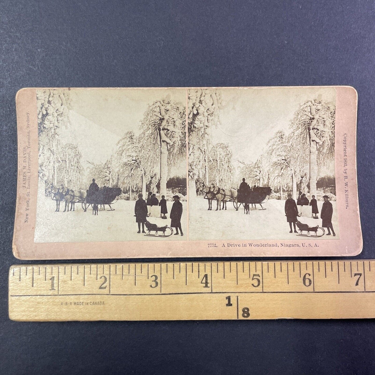 Christmas Sleigh Rides in Winter Stereoview Niagara Falls Antique c1893 Y1787