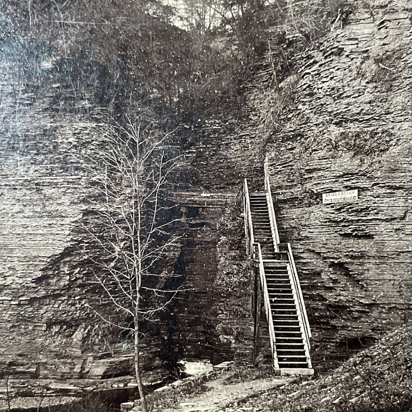 Antique 1860s Watkin's Glen Gorge Stairs New York Stereoview Photo Card V1796