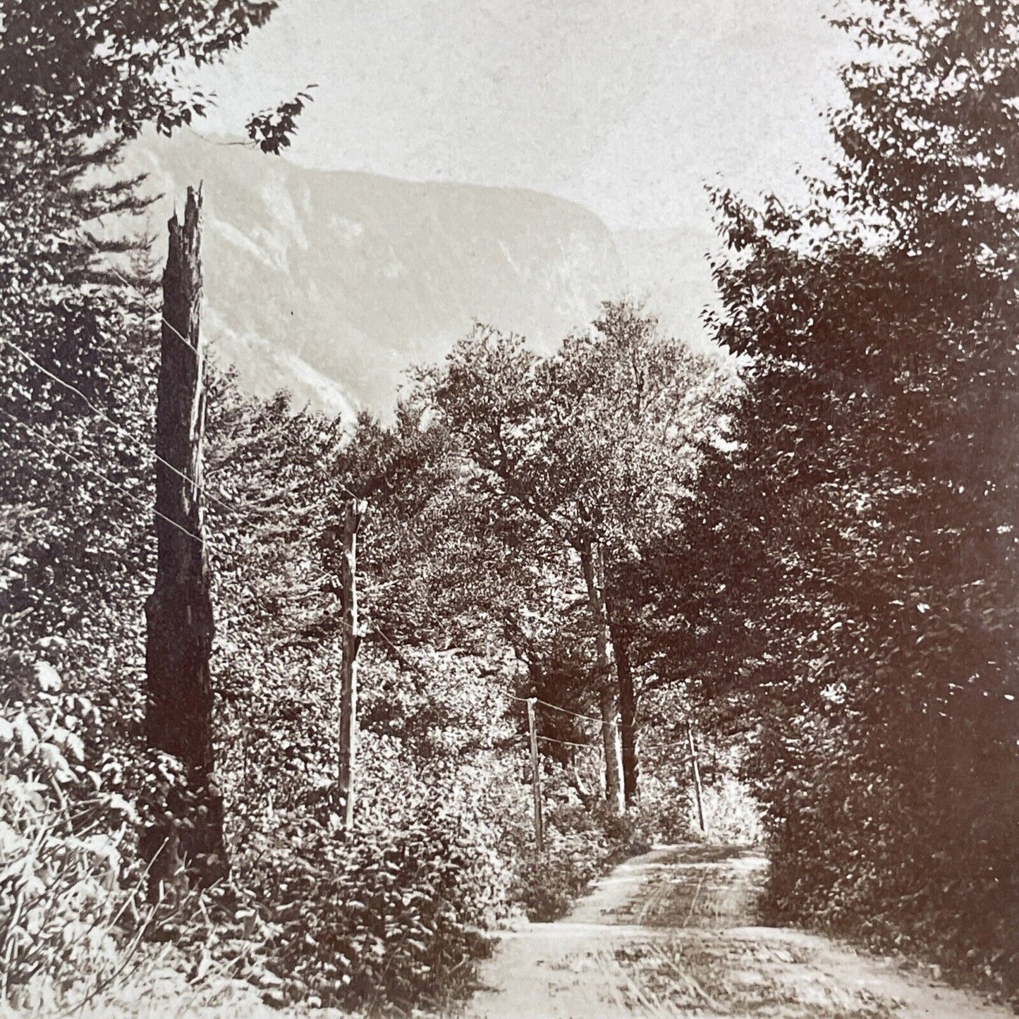 Carriage Road To The Profile House Stereoview New Hampshire Antique c1870s Y903