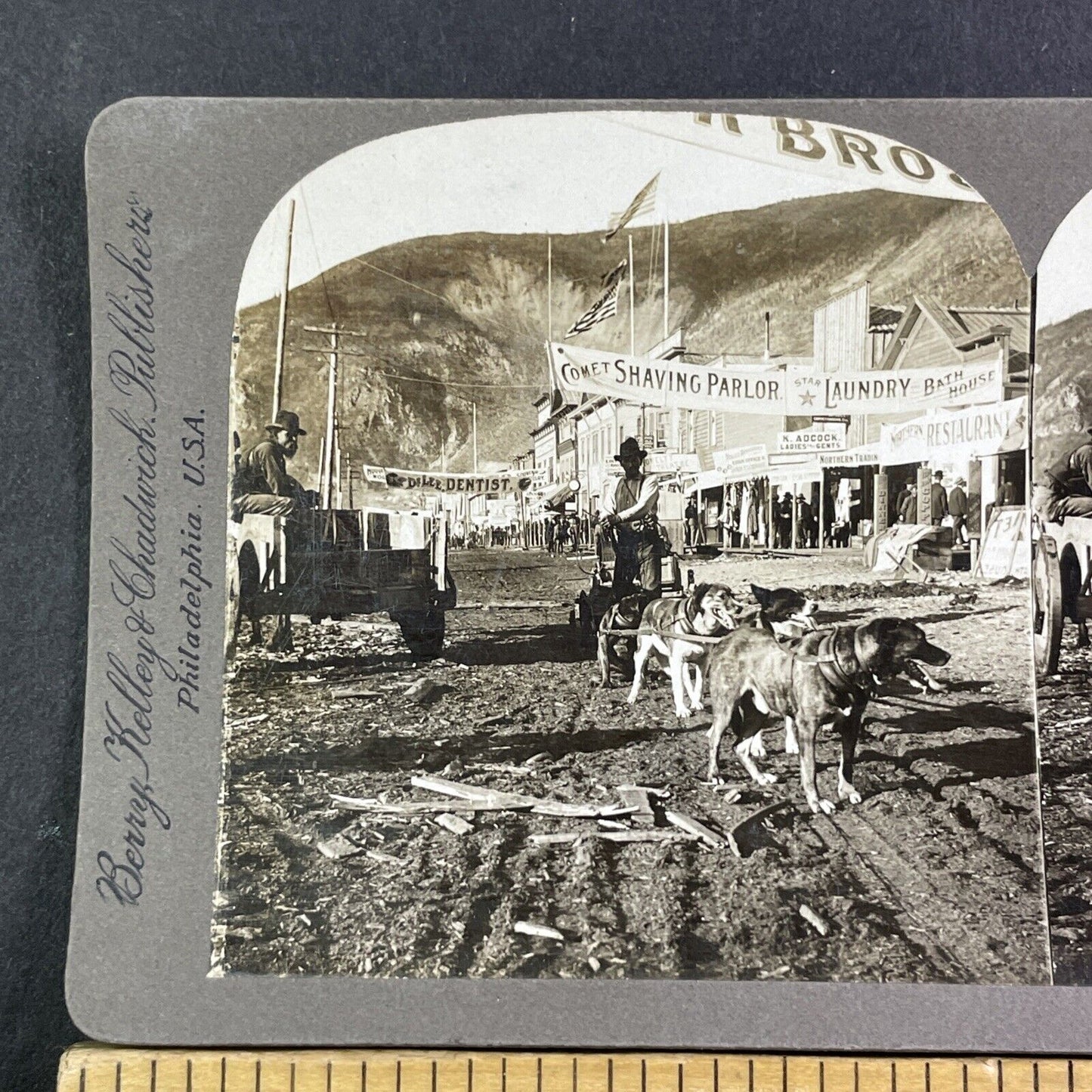 Dog Sled Team Dawson City Yukon Stereoview Gold Rush Town Antique c1900 X1845