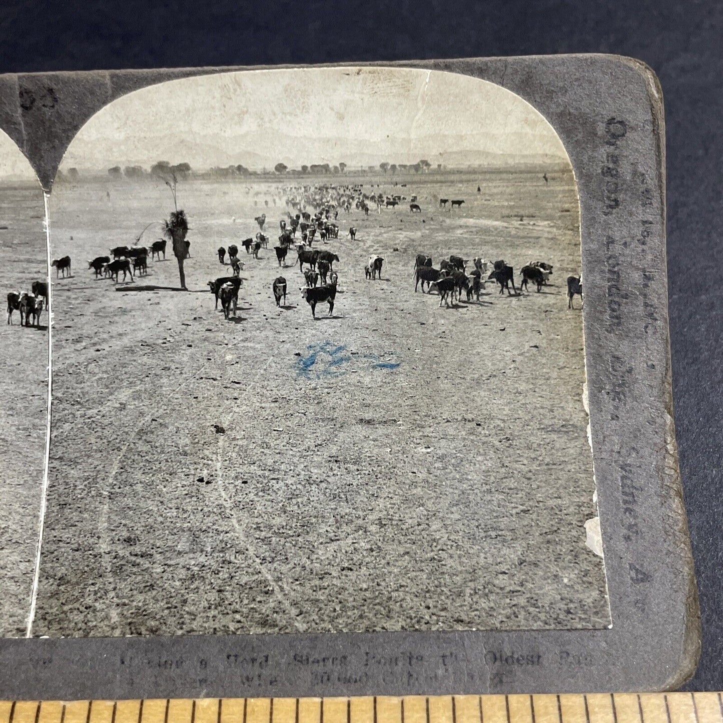 Antique 1910s Sierra Bonita Ranch Arizona Stereoview Photo Card P4313