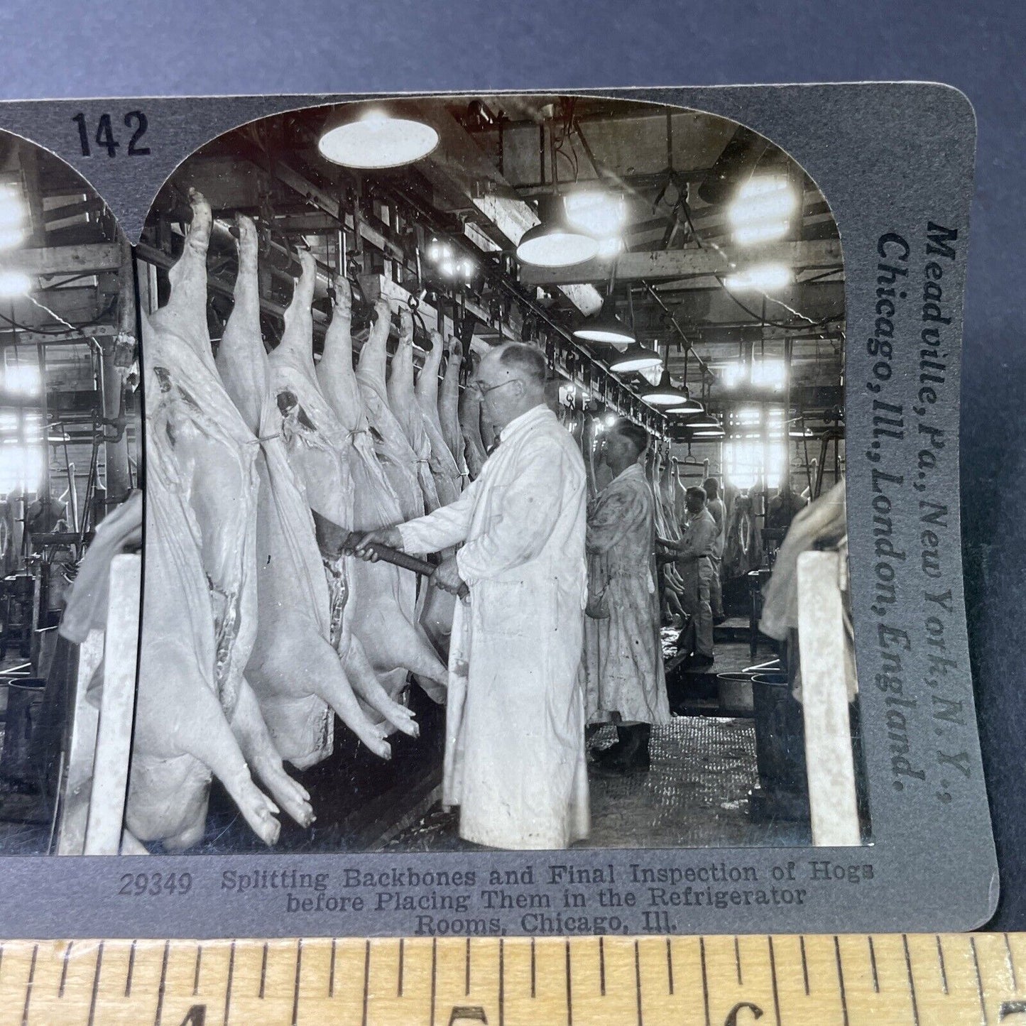 Antique 1918 Pig Pork Abattoir Chicago Illinois Stereoview Photo Card P3070