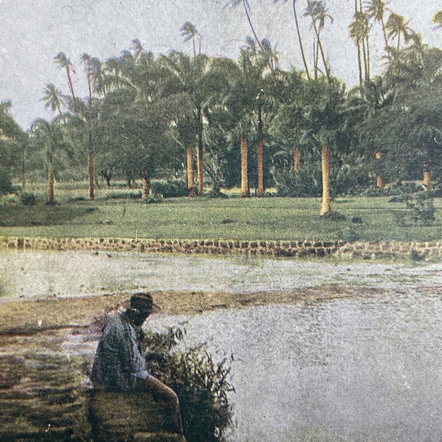 Antique 1905 Manoa Stream Honolulu Hawaii Stereoview Photo Card P580-086