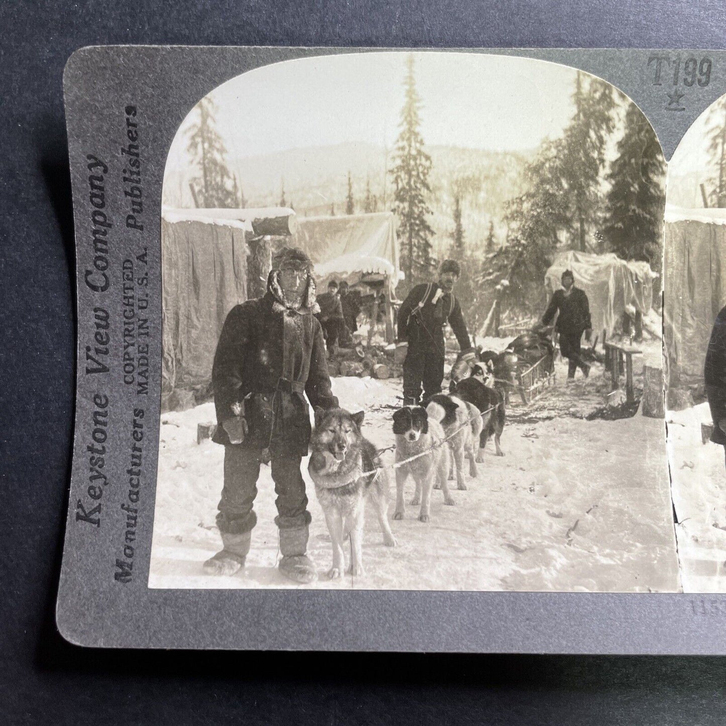 Antique 1909 Dogsledding In Northern Alaska Stereoview Photo Card P1489