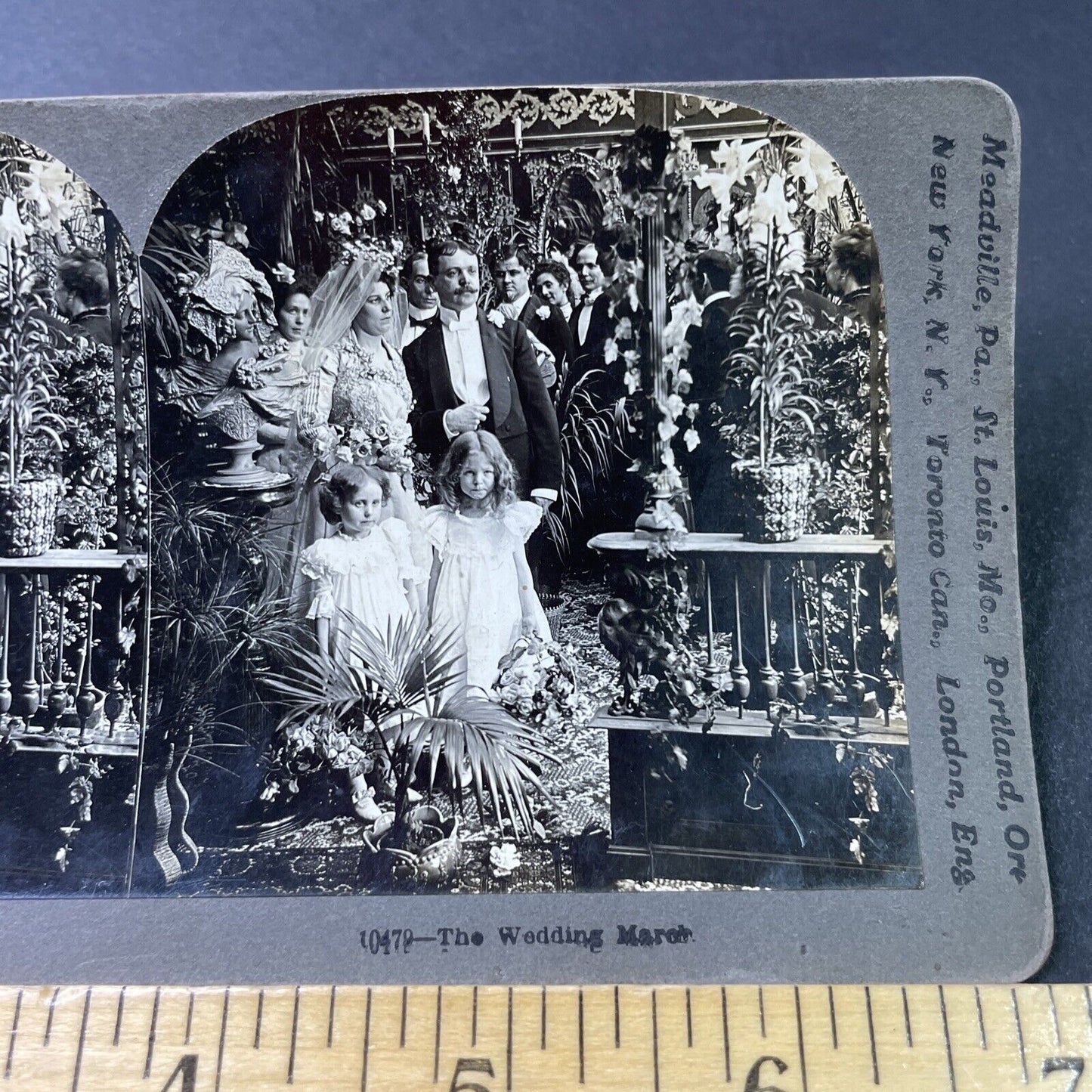 Antique 1901 Bride Groom & Flower Girls Stereoview Photo Card P2848