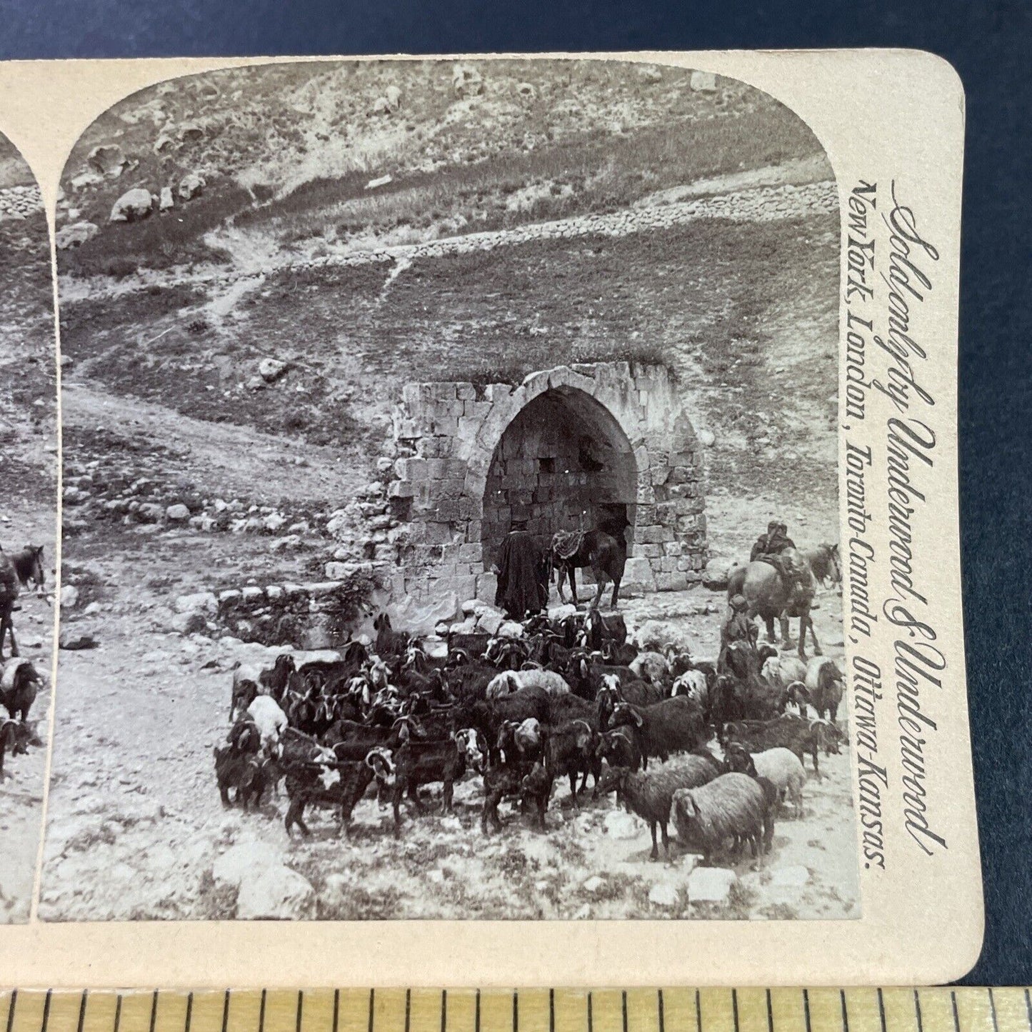 Antique 1896 Fountain Of The Apostles Jericho Israel Stereoview Photo Card P3889