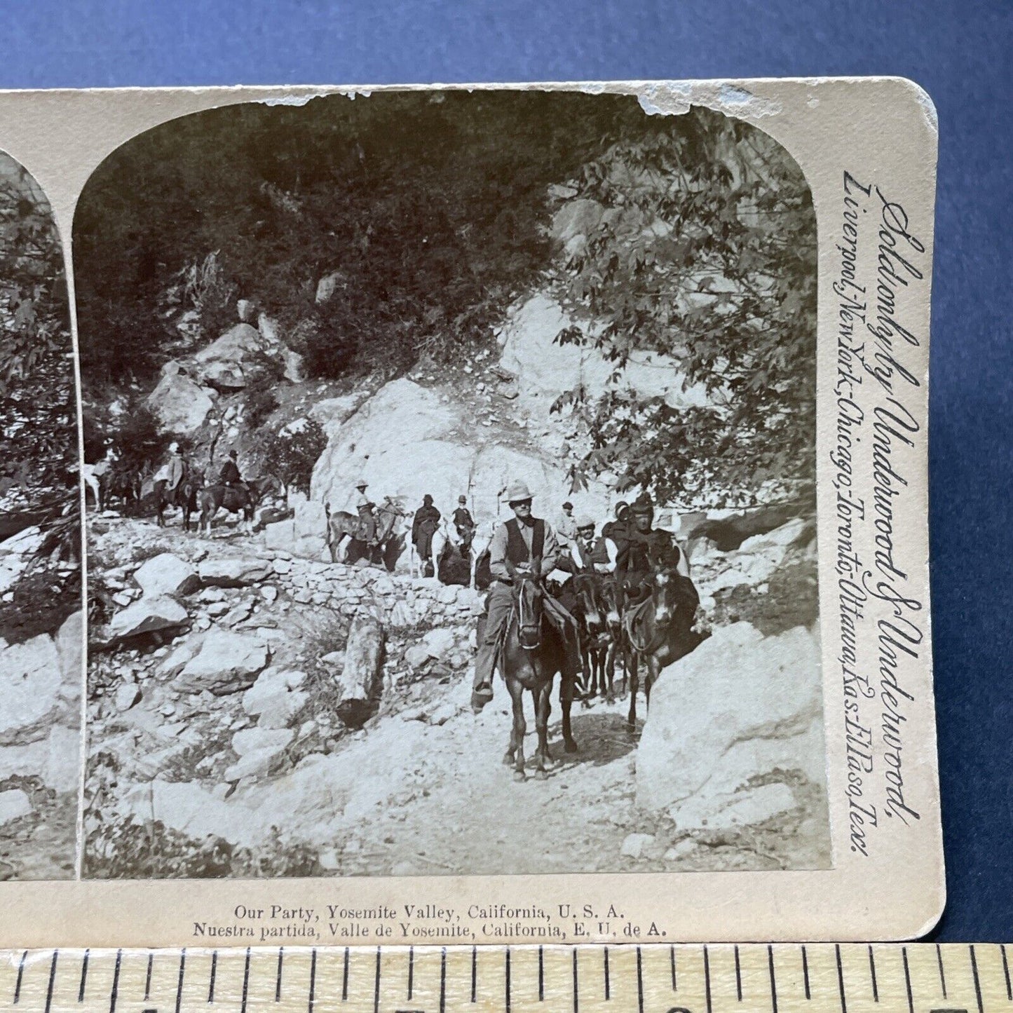 Antique 1894 Tourists On Horseback Yosemite Park CA Stereoview Photo Card P2359