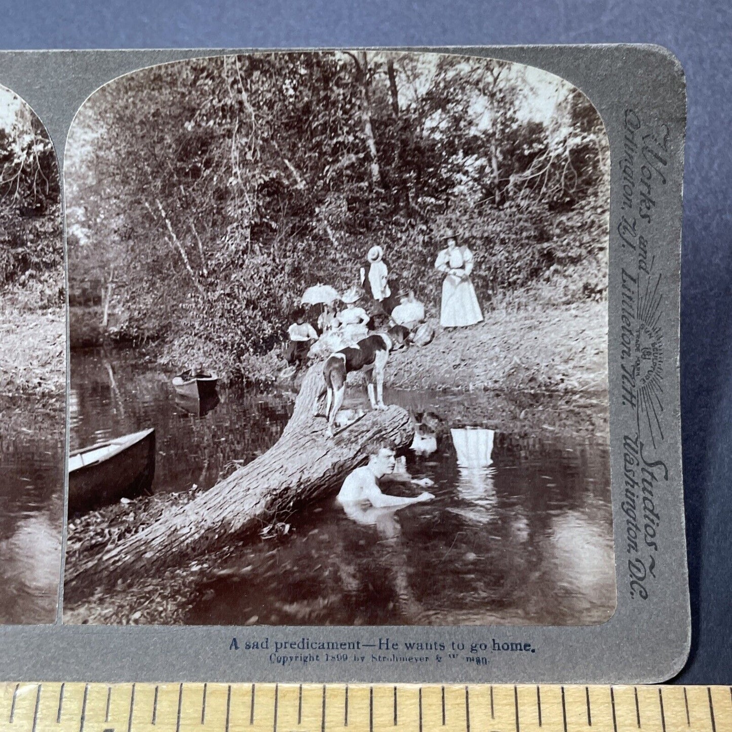 Antique 1899 Victorian Swimming Party At Lake Stereoview Photo Card V3246