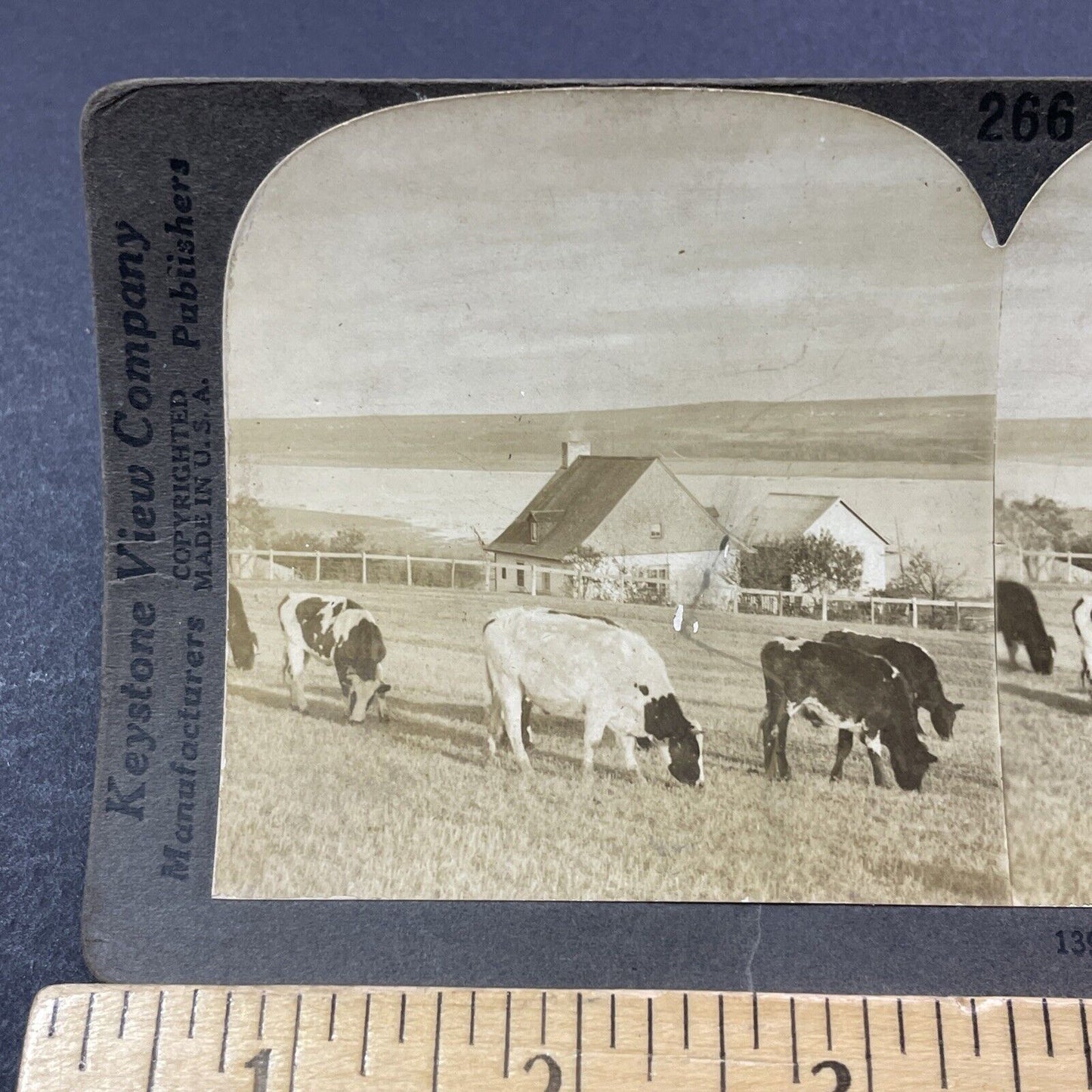 Antique 1909 St. Lawrence River Farm Quebec Stereoview Photo Card V3322