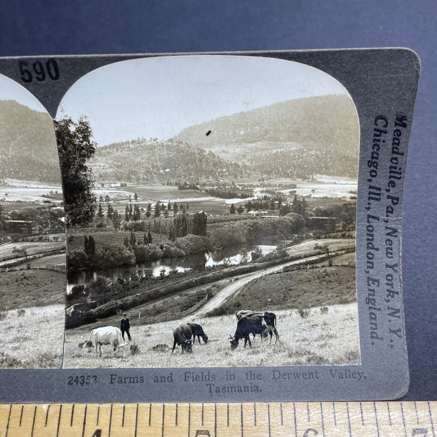 Antique 1920s Derwent Valley Tasmania Stereoview Photo Card P2038