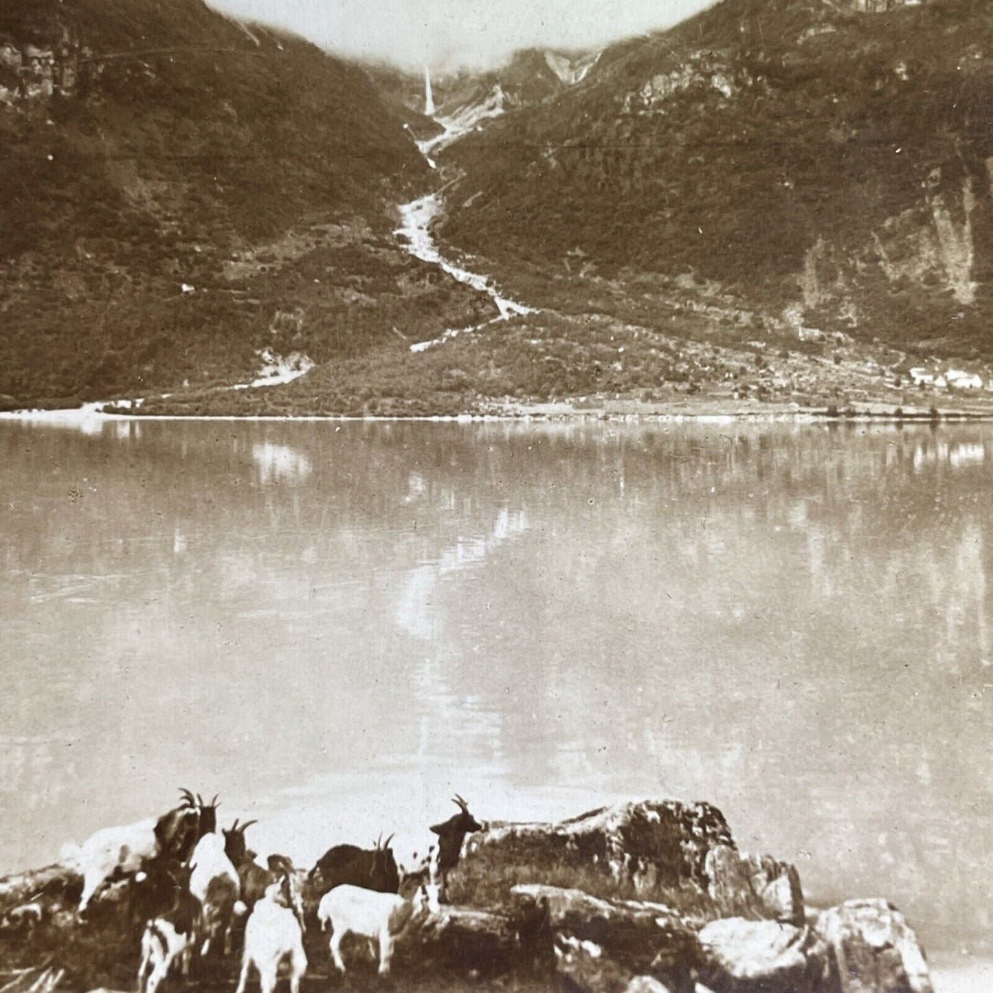 Antique 1902 Olden Norway On The Lake Stereoview Photo Card P1712