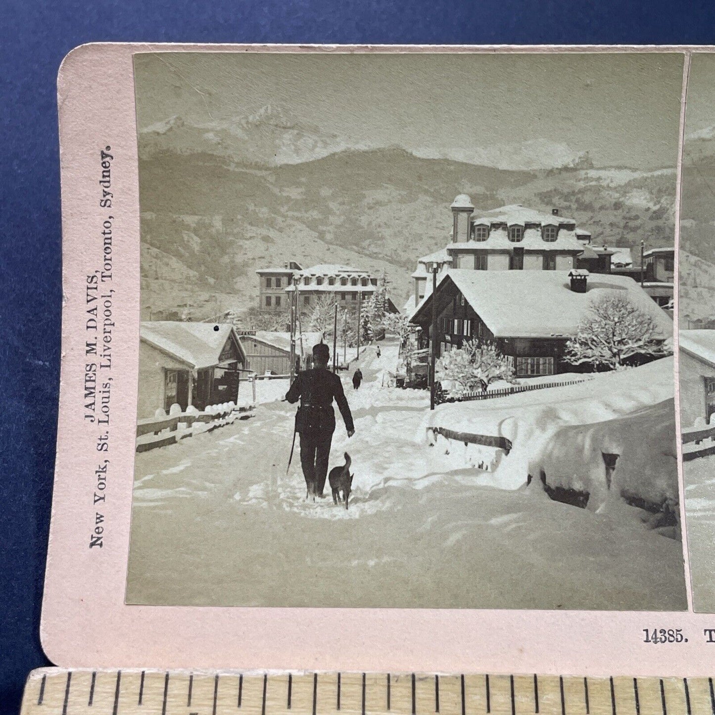 Antique 1901 Man Walks Dog In Deep Snow Switzerland Stereoview Photo Card P3954