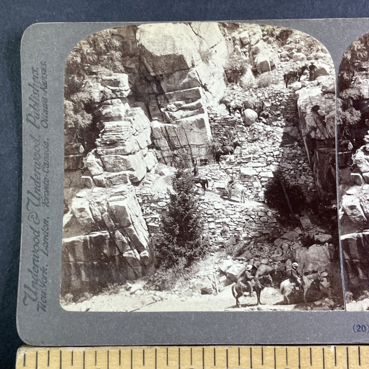 Big Oak Flat Road Yosemite California Stereoview Photo Antique c1902 X3195