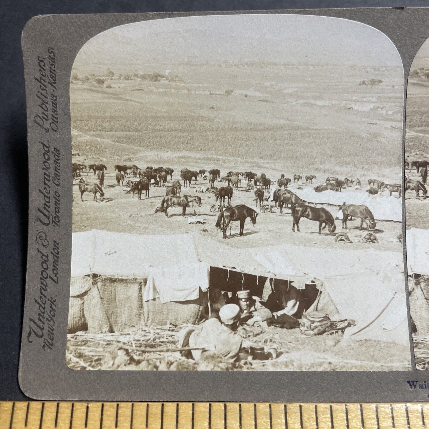 Antique 1904 Japan Cavalry Soldiers Army Tents Stereoview Photo Card P380-12