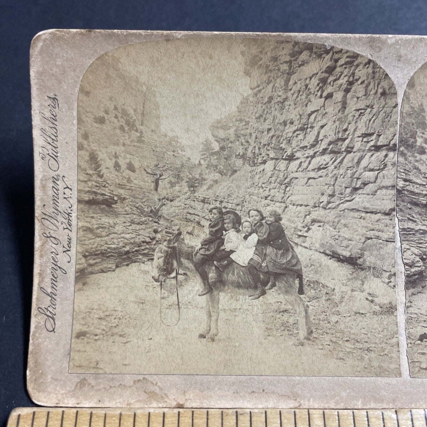 Antique 1894 Williams Canyon Colorado Donkey Ride Stereoview Photo Card P5218