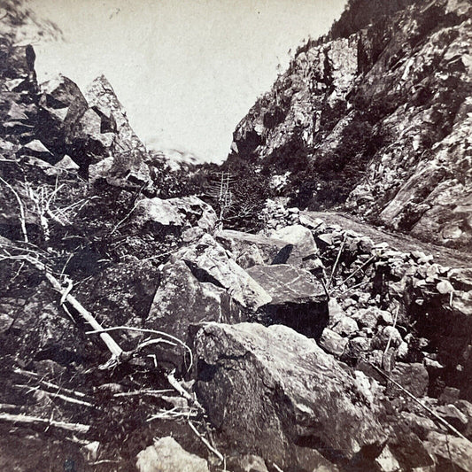 Antique 1870s Logging Road White Mountains NH Stereoview Photo Card V1851