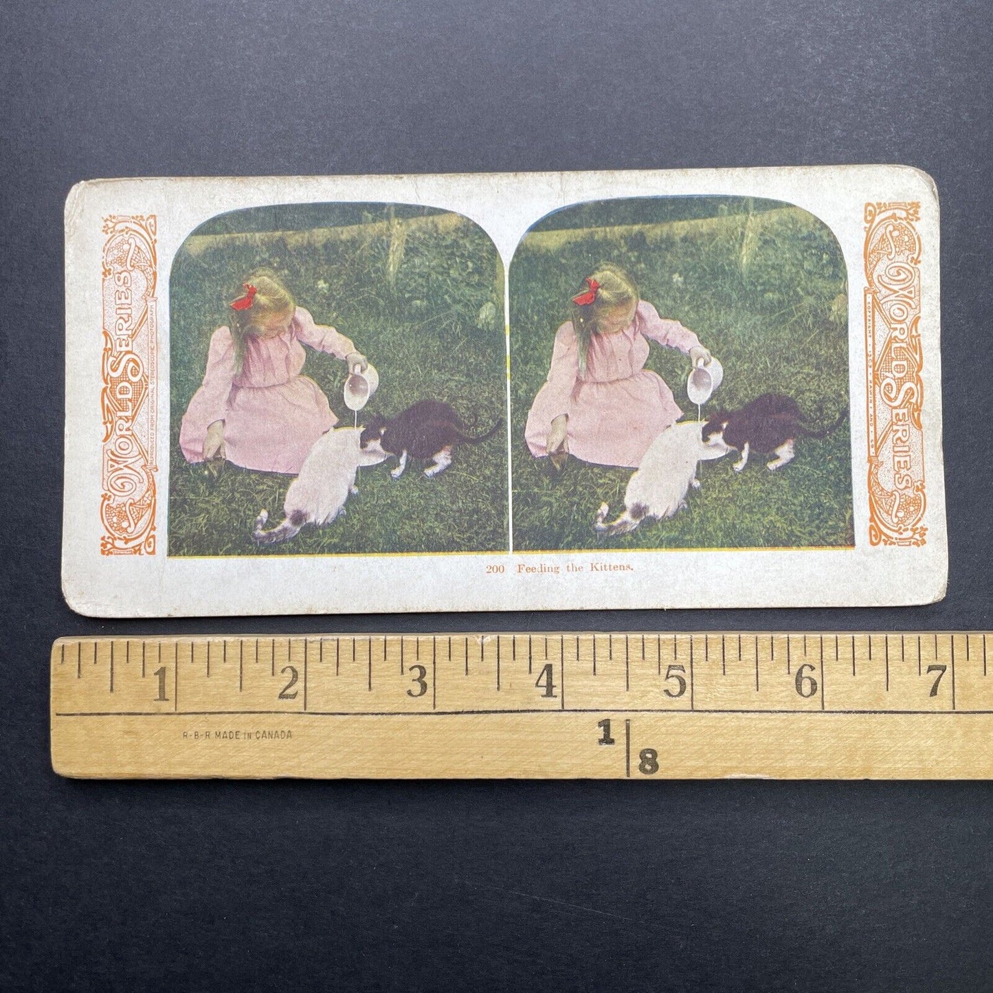 Antique 1905 Young Girl Giving Cats Some Milk Stereoview Photo Card P580-055