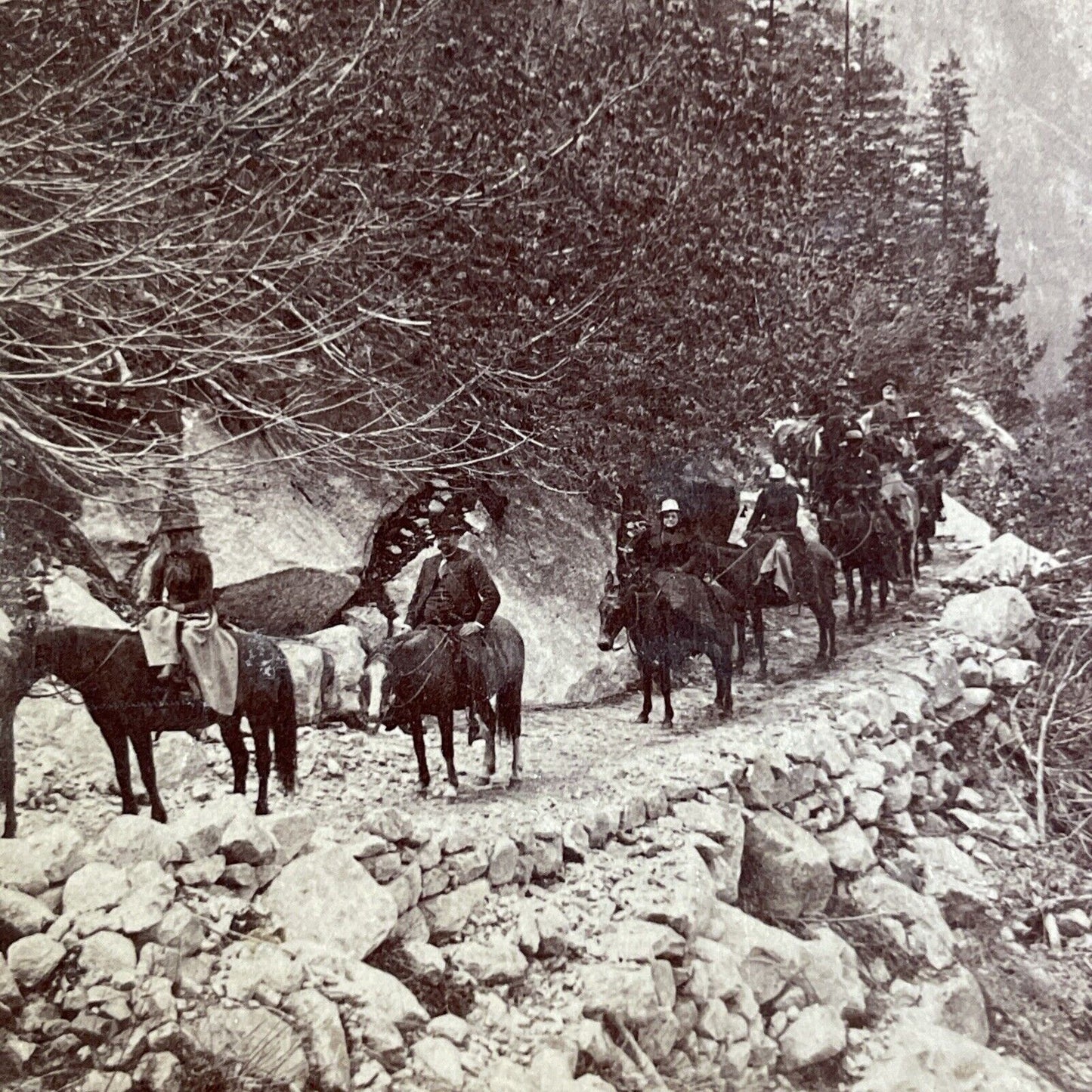 Antique 1894 Horseback To Glacier Point Yosemite CA Stereoview Photo Card P4366