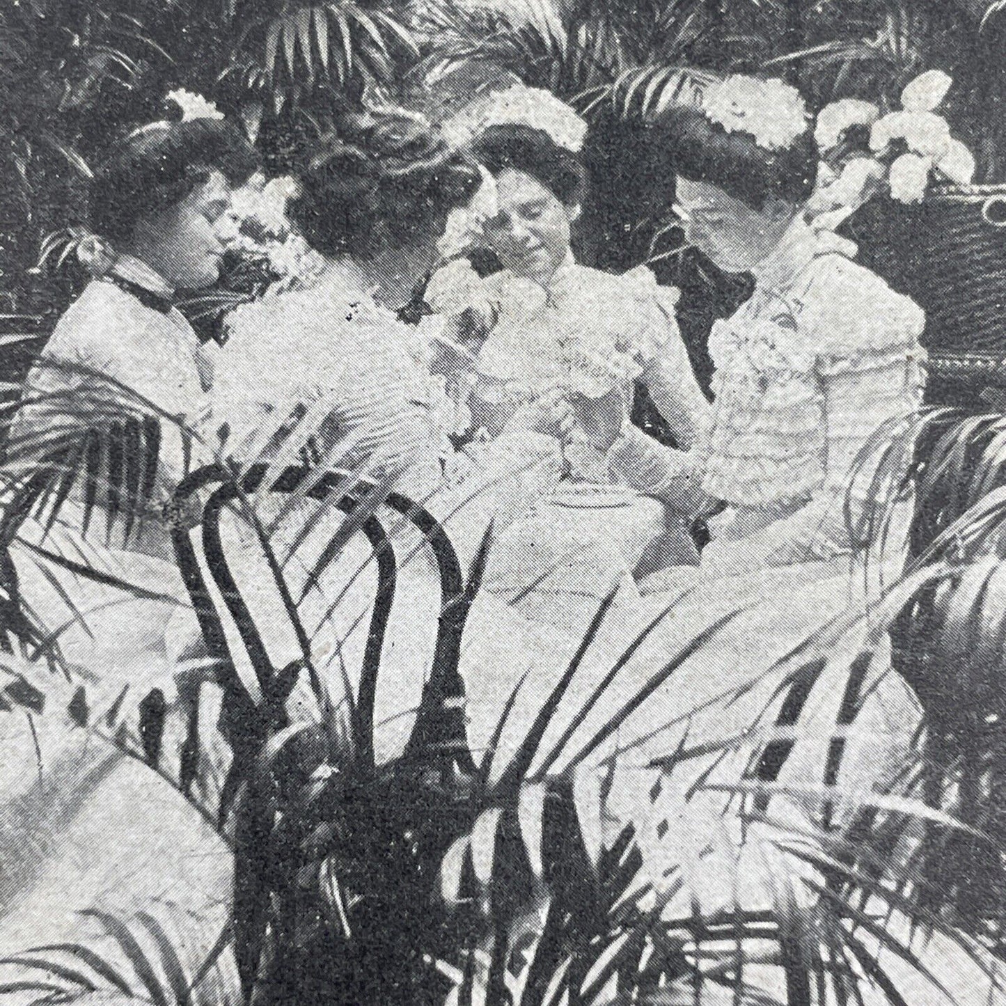 Antique 1905 Bridesmaids Having Tea Wedding Stereoview Photo Card P580-030