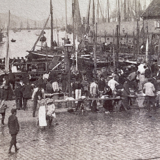 Antique 1894 Bergen Fish Market Norway Stereoview Photo Card P1461