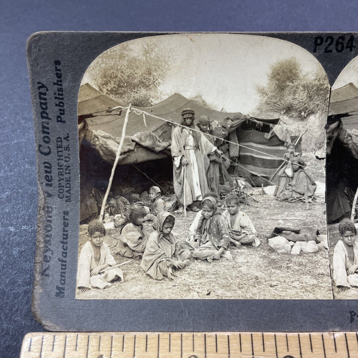 Antique 1909 Bedouin Nomads In Palestine Stereoview Photo Card V3319