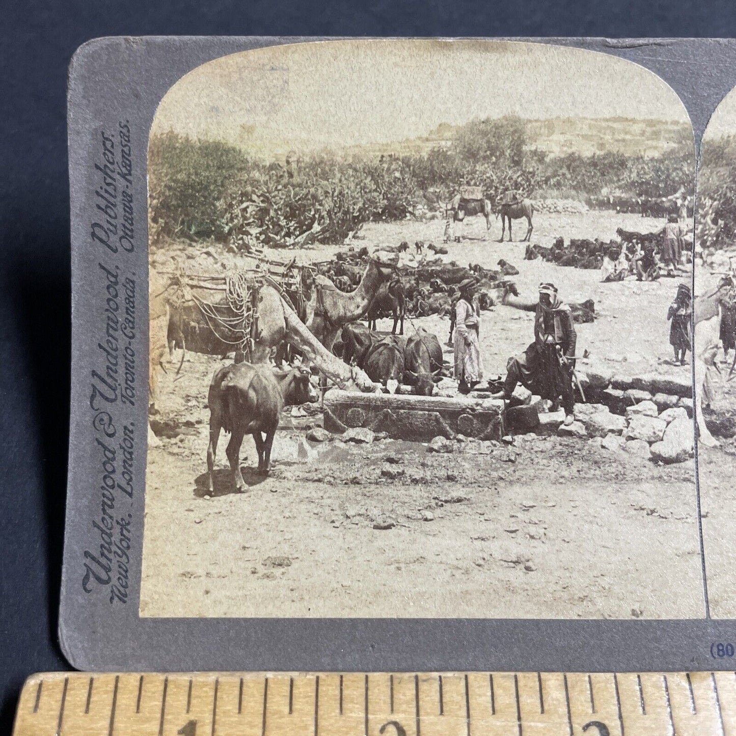 Antique 1898 Cana Of Galilee Spring Fed Well Israel Stereoview Photo Card P4166