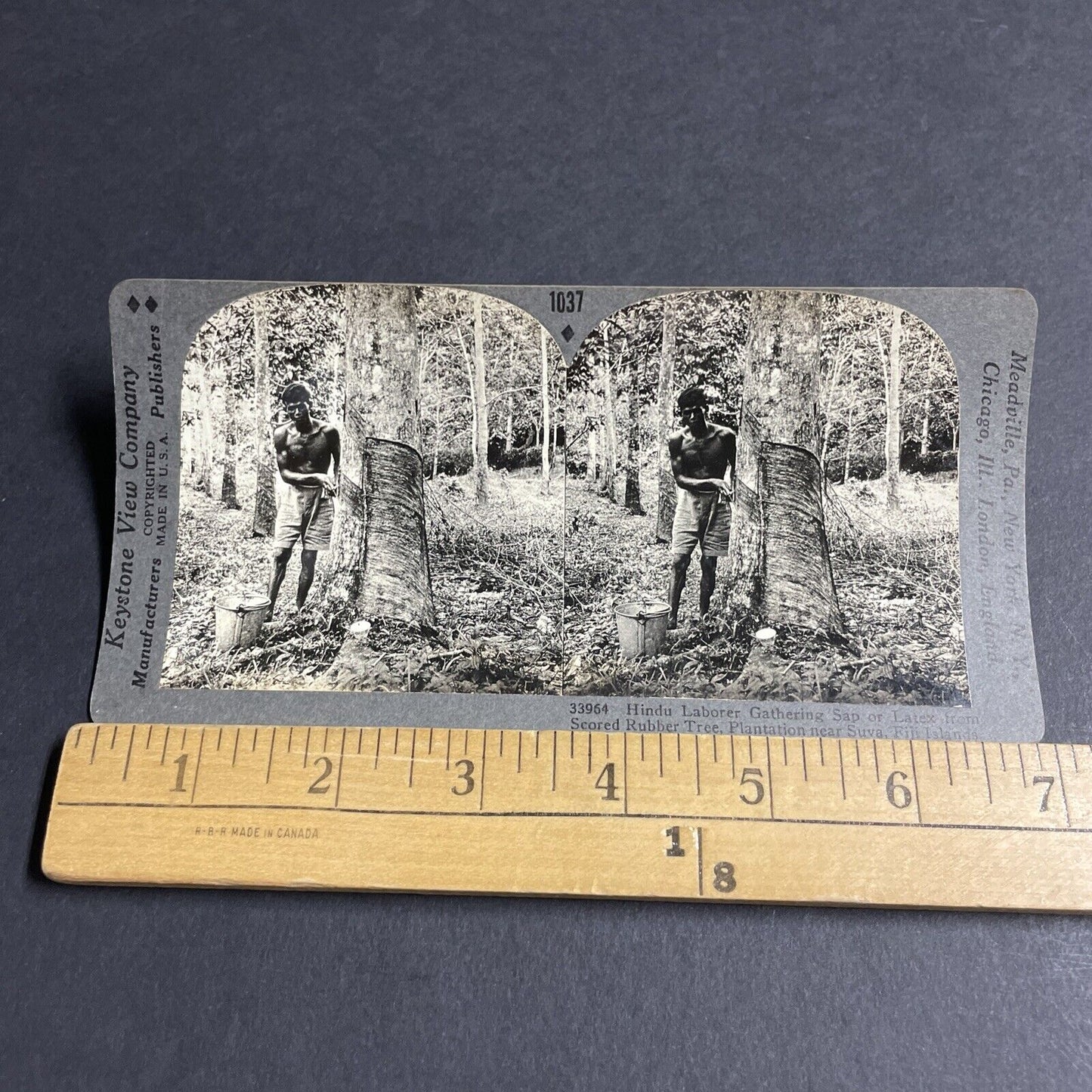 Antique 1910s Muscular Man Stripping A Tree Stereoview Photo Card P4589