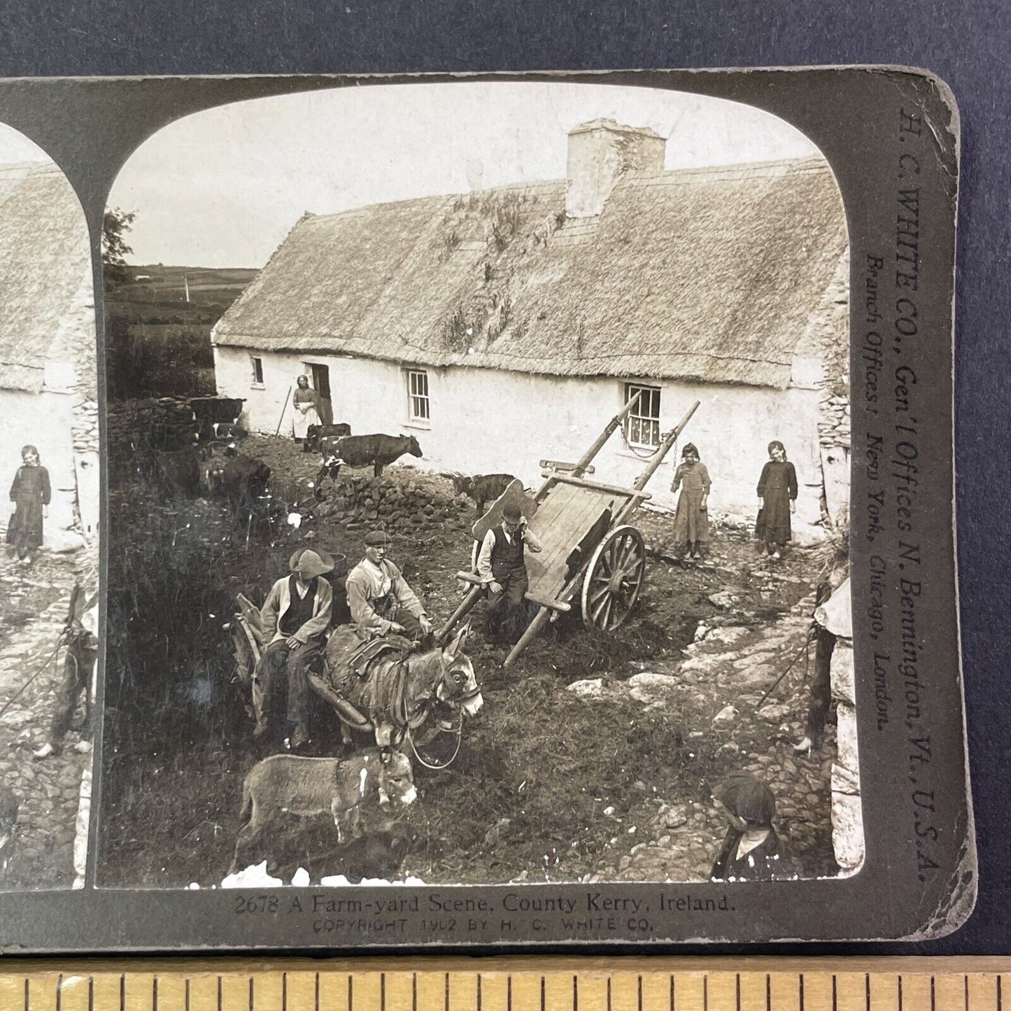 County Kerry Farm House Ireland Stereoview H.C. White Antique c1902 Y408