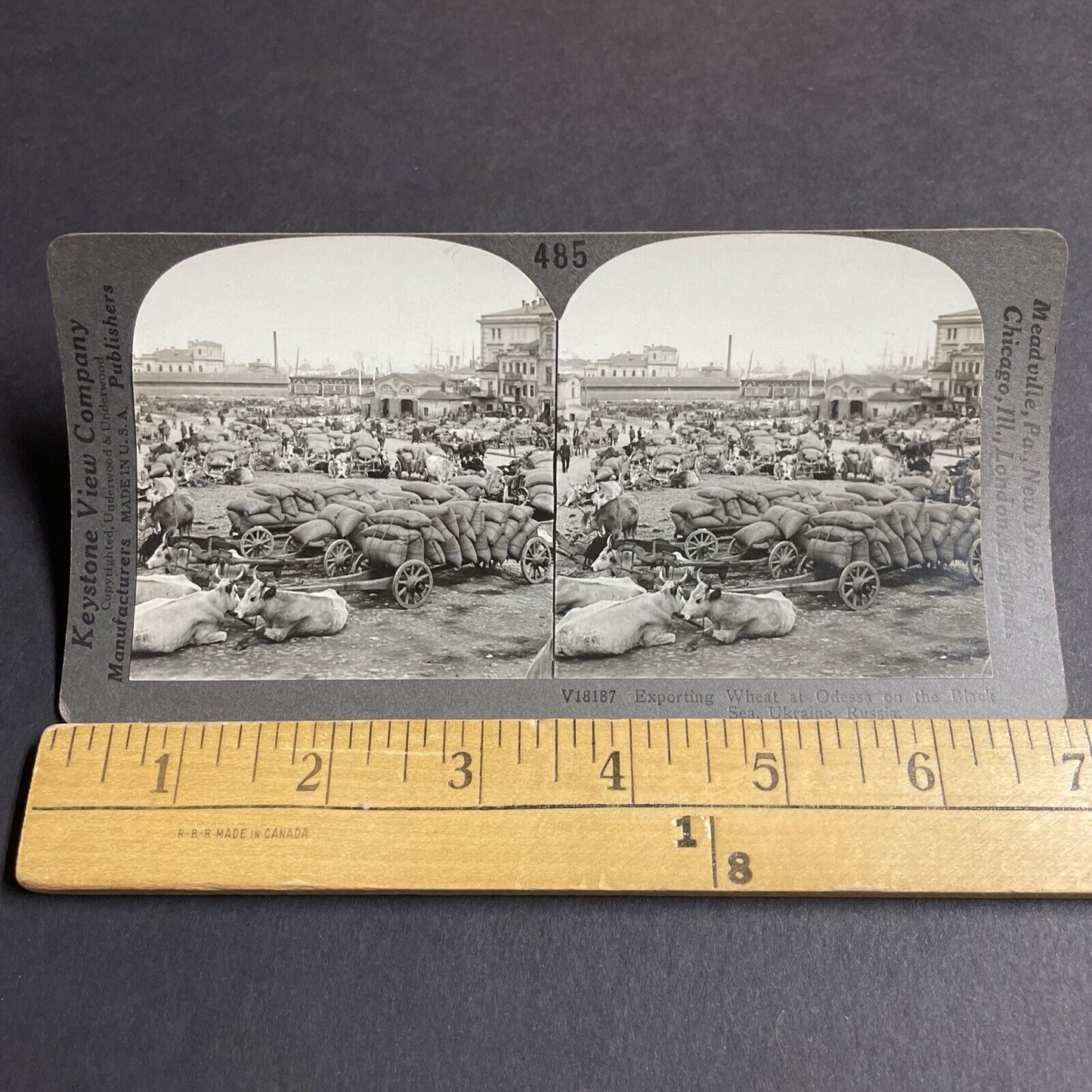 Antique 1920s Odessa Ukraine Sea Port For Grain Stereoview Photo Card P4240