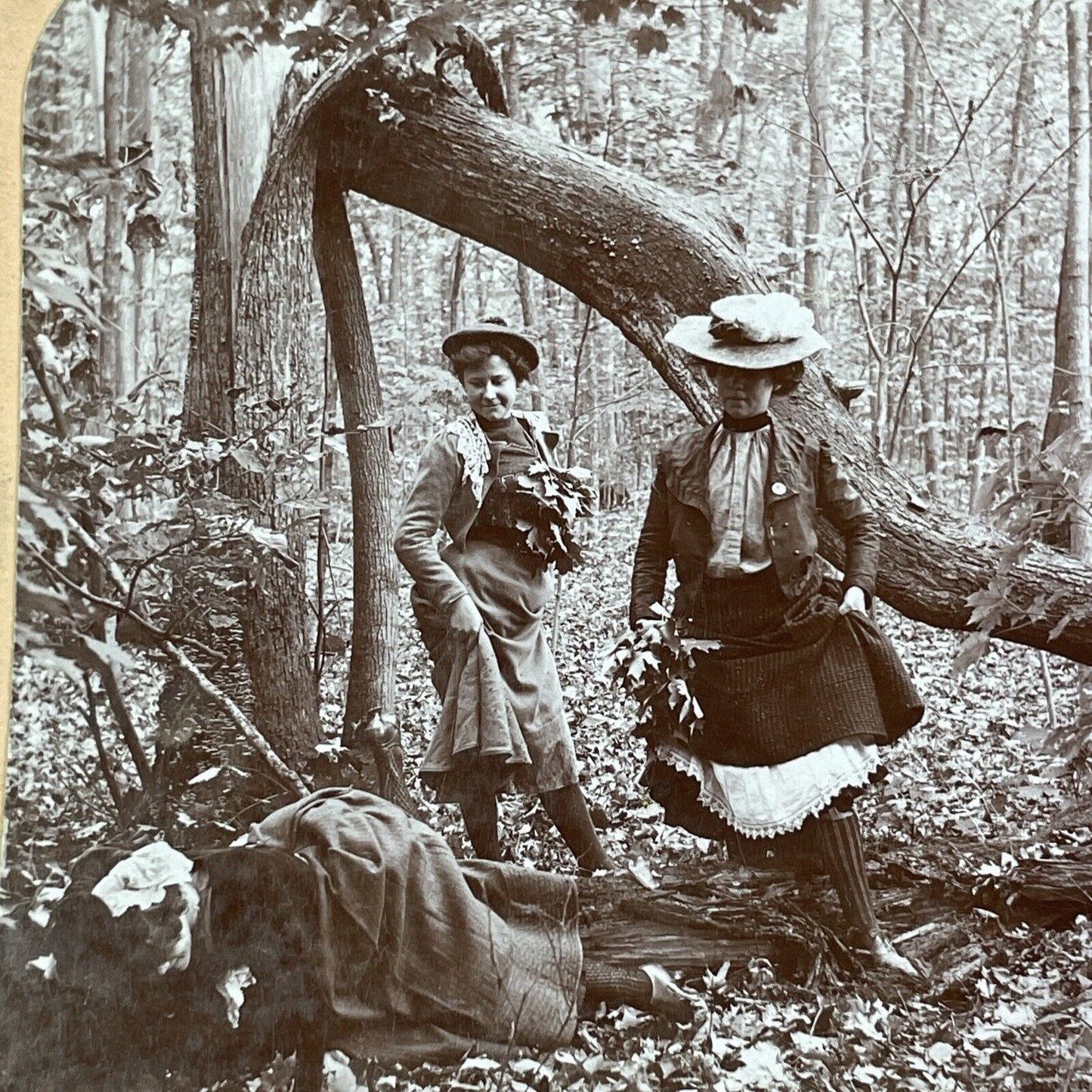 Women Having Fun on Goat Island NY Stereoview M.H. Zahner Antique c1903 Y2487