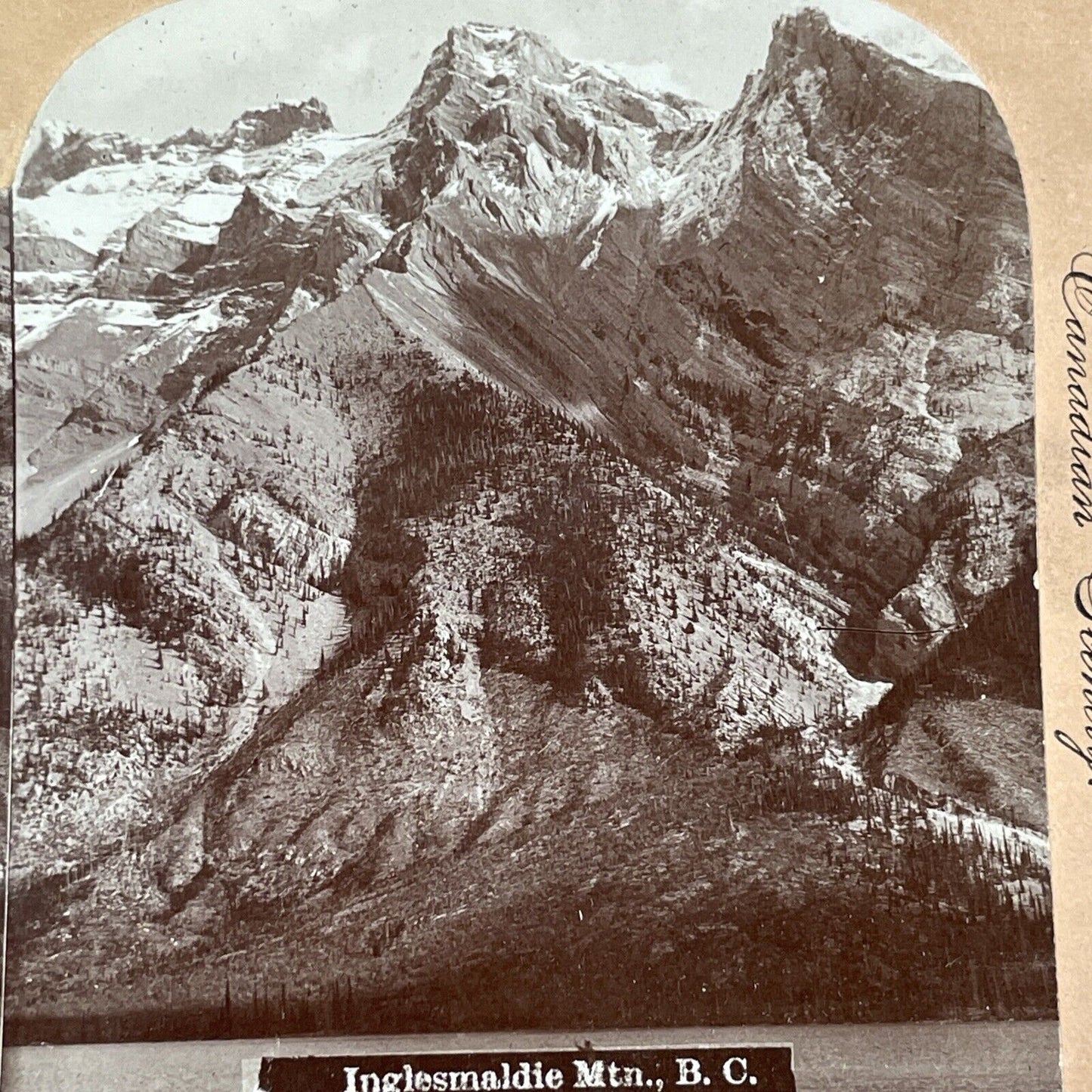 Mount Inglismaldie Alberta Canada Stereoview CPR Rail Views c1899 Y2101