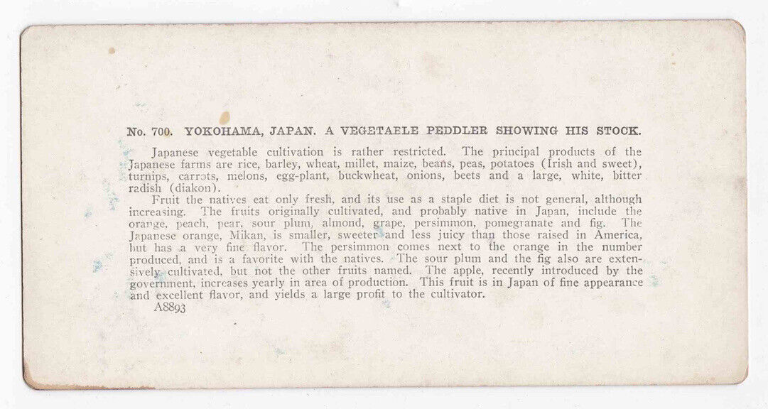 Antique 1904 Farmers Carrying Food To Market Yokohama Japan Stereo Card P289