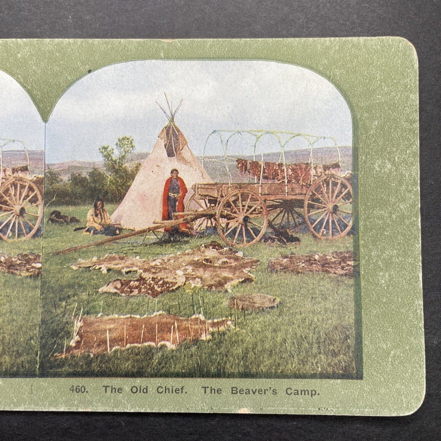 Antique 1899 Sioux Chief Drying Beaver Pelts Stereoview Photo Card P580-066