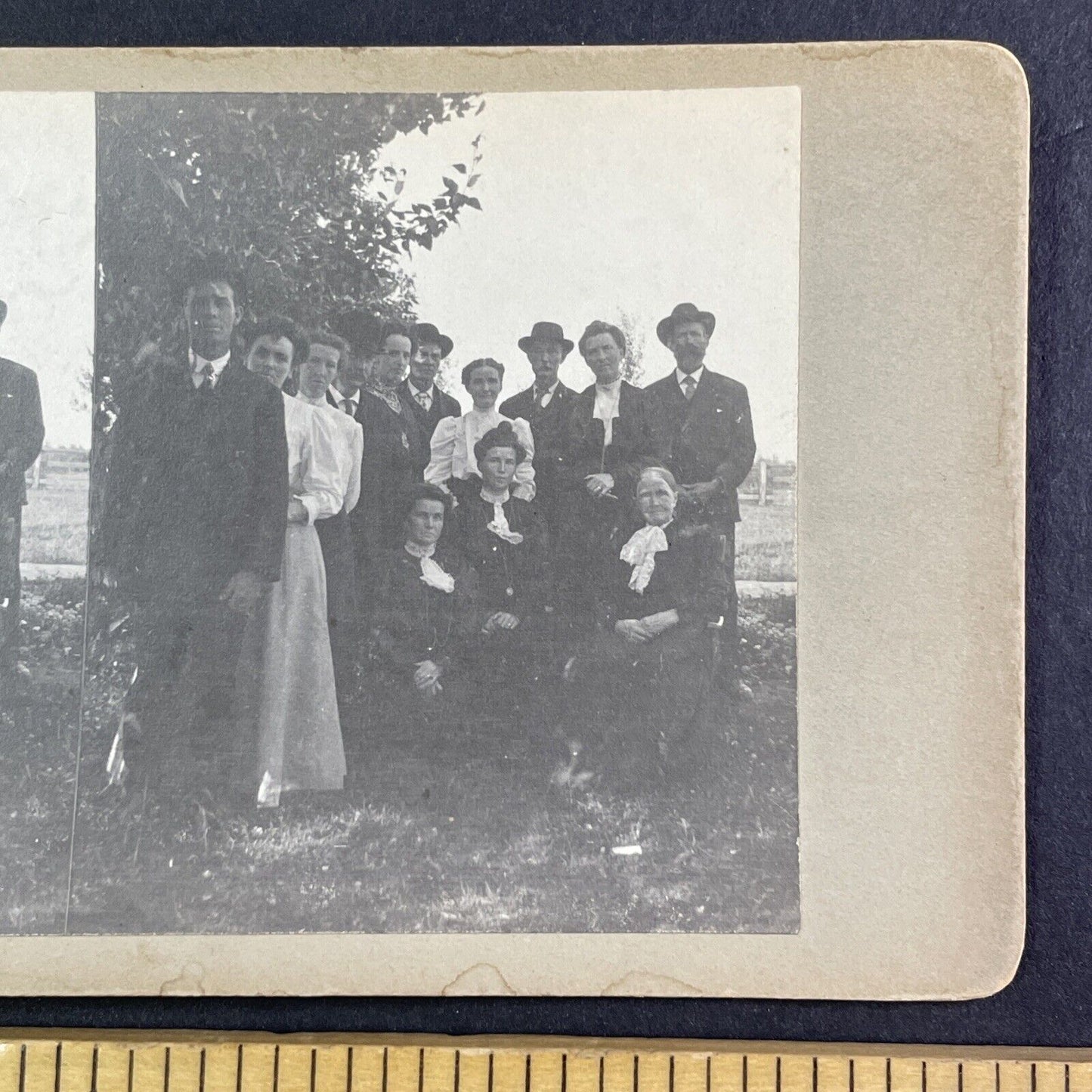 A Political Bunch Stereoview Ottawa? Canada? OOAK Antique c1908 Y2728